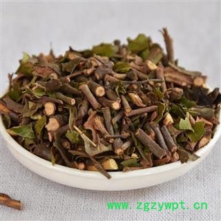 瑞森药材行广寄生 桑寄生枝细叶绿今年新货图3