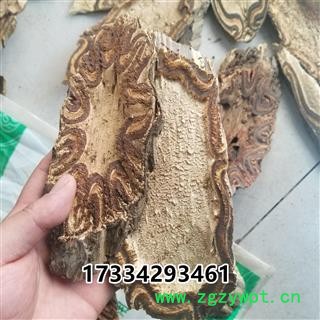 龙骨风   大贯众 飞天蠄蟧图3