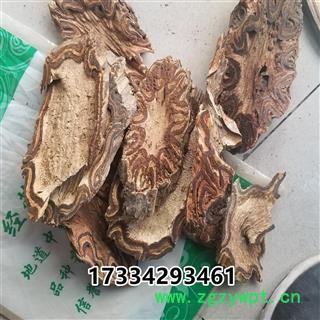 龙骨风   大贯众 飞天蠄蟧图4