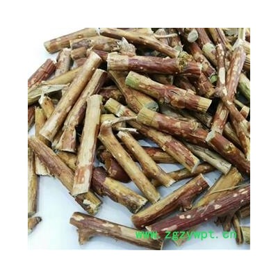 瑞森药材行 悬钩子