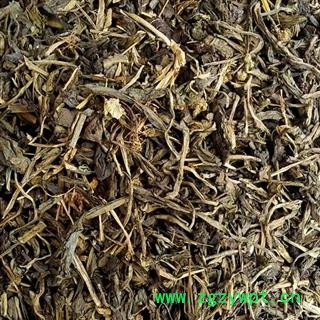 娟子中药 大青叶 大青叶 统货 产地 甘肃省图2