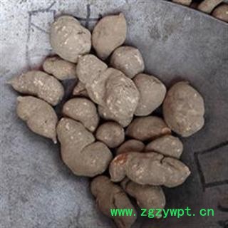 三叶青 三叶青 14mm以上选货 产地 浙江省 买好药材找娟子 专业批发图3