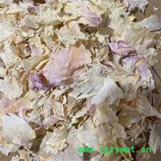 新辉药业牡丹花 白牡丹花图2