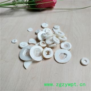 大通草 正品通草 产地 四川省图2