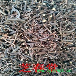 批发 中药材 优质钩藤 干净无杂 钩藤 品种齐全 量大从优 代磨粉图2
