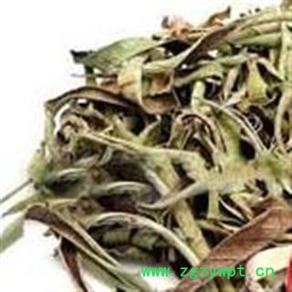 圣草康园 芦荟 花茶芦荟 芦荟干芦荟丝图2