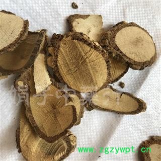 薜荔  野木瓜 木瓜藤 那蘑、牛藤、五爪金龙 产地 江西省图2