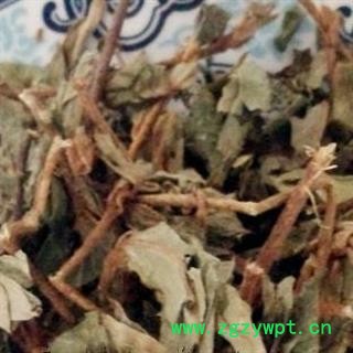 吉康药业满山红 满地红 太阳草产地贵州图2