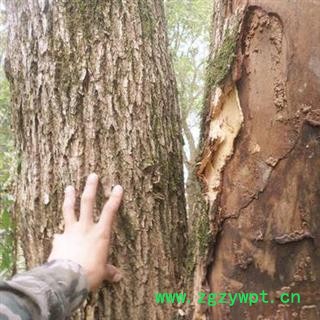 樟树皮 香樟树皮 正品保证质量7天无理由退货退款 安品堂图4