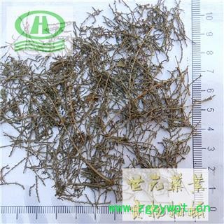 世元药业 西河柳 正品 别称-怪柳 观音柳 山川柳 三春柳 西湖柳 赤柳 观音柳 红筋条图2