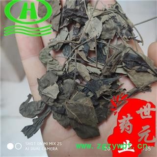 世元药业 木豆叶 正品 当年新货 别称 黄豆树 叶类药材易碎图2