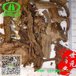 世元药业 猪笼草 正品 水罐植物 猴水瓶 猴子埕 猪仔笼 雷公壶图2