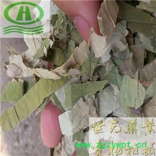 世元药业 荷叶丝 干净无杂 绿色 药用级别图2