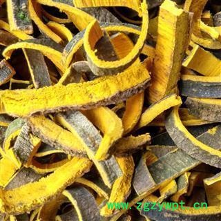 黄柏 选 产地 四川省德阳市图2