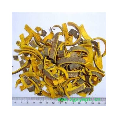 黄柏 选 产地 四川省德阳市