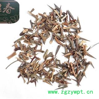 皂刺 中统 湖南省邵阳市绥宁县 茗生春药材总公司 一手货源  7天无理由退换图2