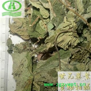 世元药业 褚桃叶 正品 不错-楮树叶 楮叶 名构叶 谷树叶图2