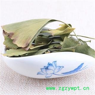 银杏叶 白果叶 银杏 青统 产地 江苏省图3