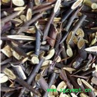 皂针 皂刺 统货皂针 全部是刺 没有树枝 产地 河南省图2