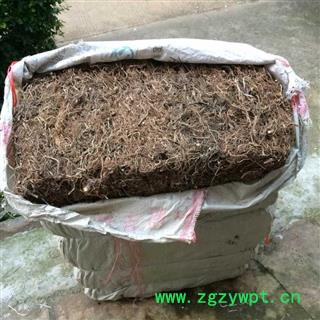 广西壮乡中草药 野生 全根水洗晒干 艾根 艾头 艾草根 产地柳州图4