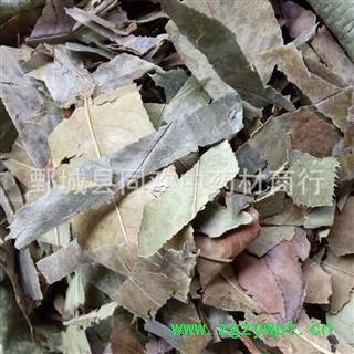 【石楠叶】@【同欢药材】中药材批发供应 规格齐全 量大从优 产地 广西壮族自治区图2