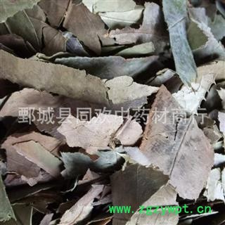 【石楠叶】@【同欢药材】中药材批发供应 规格齐全 量大从优 产地 广西壮族自治区图3