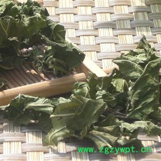 霜桑叶1000克图3