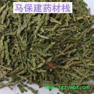 侧柏叶 侧柏叶统货 产地 山东省图2