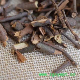 槲寄生 桑寄生 广寄生 无叶子 实图拍摄 品质保证 为冲销量 货好价格低 产地 广西壮族自治区图2