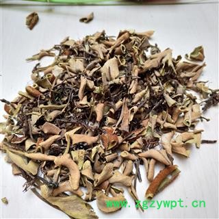 石韦 石苇 四川小叶石韦 正品石韦 产地 四川省图2