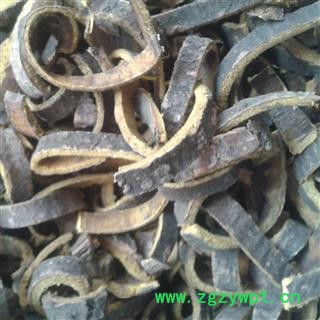 黄柏 川黄柏 统货 产地 四川省绵阳市盐亭县图2