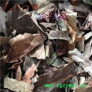 枇杷叶 枇杷叶（统货） 产地 广西壮族自治区 批发经营各种冷背中草药个子图2