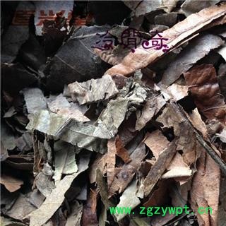 枇杷叶 枇杷叶（统货） 产地 广西壮族自治区 批发经营各种冷背中草药个子图3