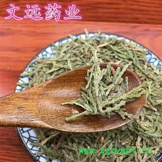 侧柏叶 侧柏叶统货 产地 河南省图2