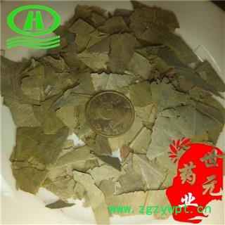 世元药业 石楠叶 正品 石眼树叶 老少年叶 凿树 石纲【全品除尘中药】图2