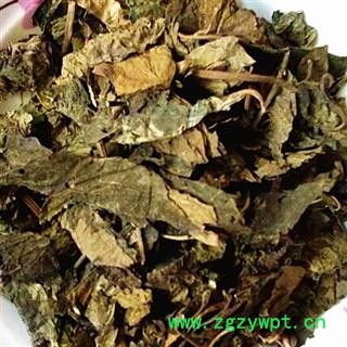 瑞森药材行中药材 新货臭梧桐叶 八角梧桐 山梧桐 另有梧桐根图2