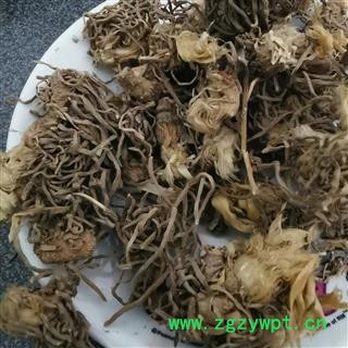 瑞森药材行 韭菜根 草钟乳 起阳草 长生草 扁菜 壮阳草 洗肠草图2