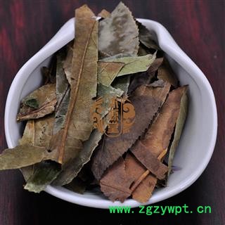 石楠叶 统货 产地 广西壮族自治区图4