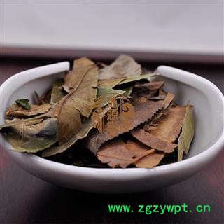 石楠叶 统货 产地 广西壮族自治区图3