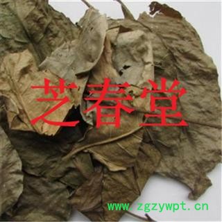 芝春堂 正品中药材 黄皮核黄皮果核黄皮籽黄皮子支持验货图2