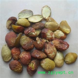 芝春堂 正品中药材 黄皮核黄皮果核黄皮籽黄皮子支持验货图3