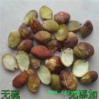 芝春堂 正品中药材 黄皮核黄皮果核黄皮籽黄皮子支持验货图4