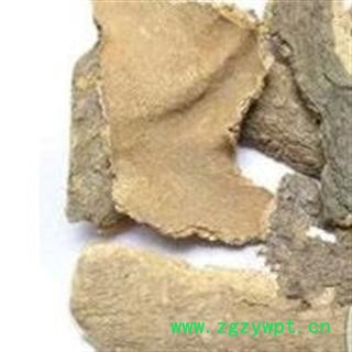 椿皮 选批发中药材 花茶 矿石 产地 安徽省图2