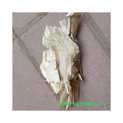 瑞森药材行楮树根今年新货纯根