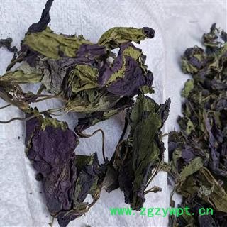 瑞森药材行苏叶 紫苏叶 手摘紫苏叶图4