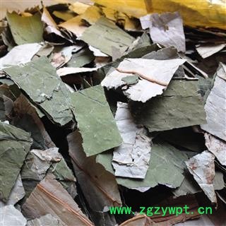 荷叶 茶用荷叶 荷叶茶 荷叶块 产地 山东省图2