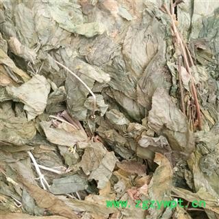 人参叶  小叶人参叶 选 产地 吉林省图2