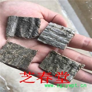 批发各种规格杜仲 杜仲皮 老杜仲 承接大货量大从优泡酒 可代磨粉图2