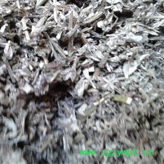 艾叶 统 产地 河南省安阳市龙安区图2