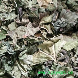 桑叶 青桑叶统货 产地 四川省图2